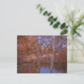 Montana Sunset Pond View Postkarte (Stehend Vorderseite)