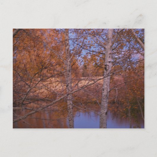 Montana Sunset Pond View Postkarte (Vorderseite)