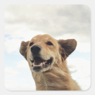 Montana, USA Quadratischer Aufkleber