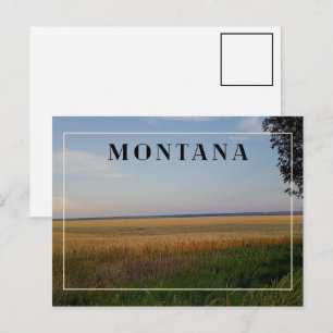 Montana-Weizen-Sonnenuntergang Postkarte
