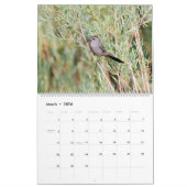 Montana Wetland Birds Kalender (Mär 2026)