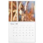Montana Wetland Birds Kalender (Feb 2026)