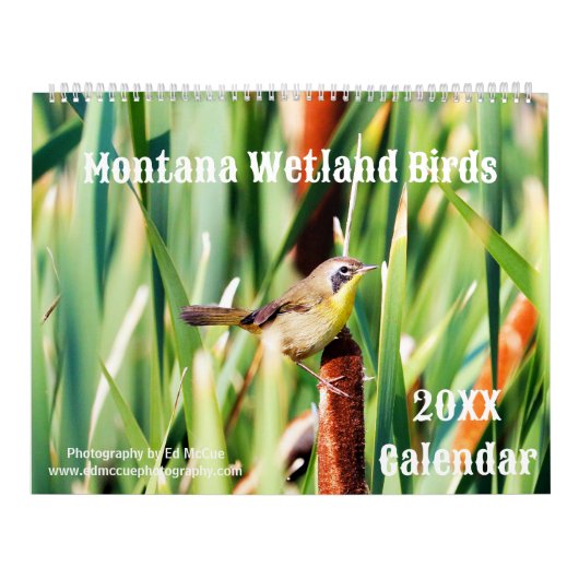 Montana Wetland Birds Kalender (Titelbild)