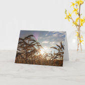 Montana Wheat Karte (Gelbe Blume)