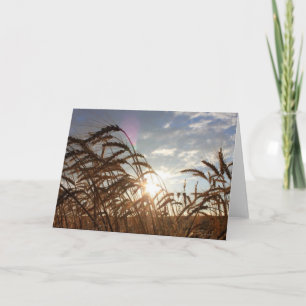Montana Wheat Karte
