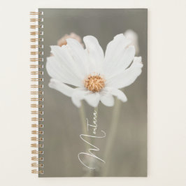 Montana White Wildblume Planer