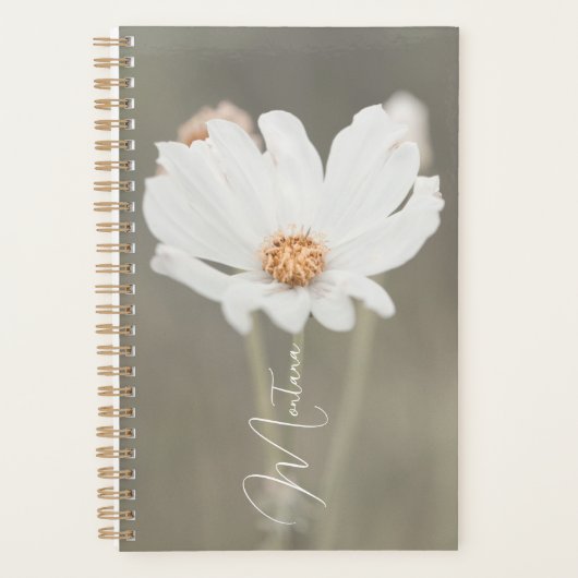 Montana White Wildblume Planer (Vorderseite)