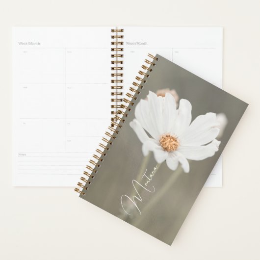 Montana White Wildblume Planer (Anzeige)