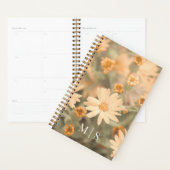 Montana-Wildblume in Orange Planer (Anzeige)