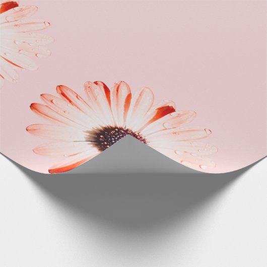 Montana-Wildblumen in rosa Geschenkpapier (Ecke)