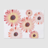 Montana-Wildblumen in rosa Gewebepapier Seidenpapier (Vorderseite)