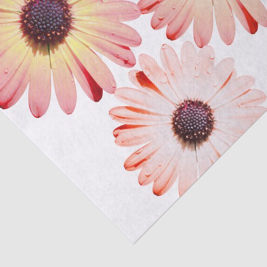 Montana-Wildblumen in rosa Gewebepapier Seidenpapier (Ausschnitt)