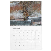 Montana Wildlife Kalender (Mär 2026)