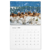 Montana Wildlife Kalender (Jan 2026)