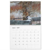Montana Wildlife Kalender (Mär 2027)