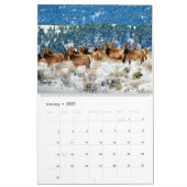 Montana Wildlife Kalender (Jan 2027)