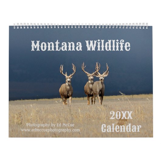 Montana Wildlife Kalender (Titelbild)