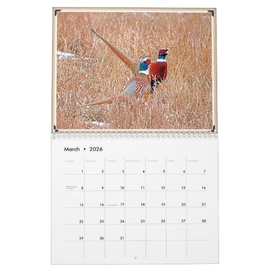 Montana Wildlife Kalender (Mär 2026)