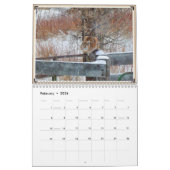 Montana Wildlife Kalender (Feb 2026)