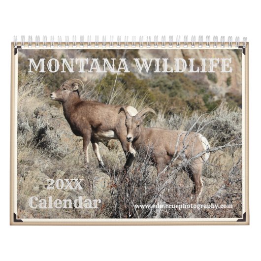 Montana Wildlife Kalender (Titelbild)