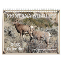 Montana Wildlife Kalender