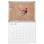 Montana Wildlife Kalender (Mär 2027)