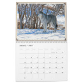 Montana Wildlife Kalender (Jan 2027)