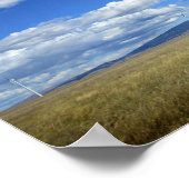 Montana Windmills Poster (Ecke)