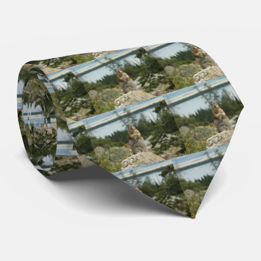 MontanaChipmunk Krawatte (Gerollt)