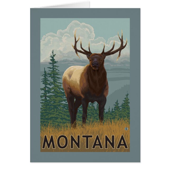 MontanaElk Scene (Vorne)