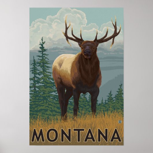MontanaElk Scene Poster (Vorne)