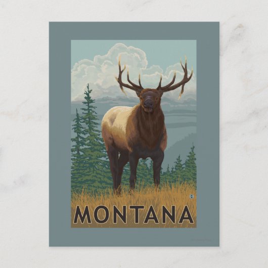 MontanaElk Scene Postkarte (Vorderseite)