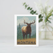 MontanaElk Scene Postkarte (Stehend Vorderseite)