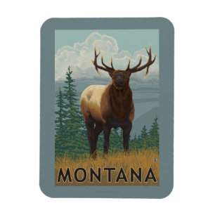 MontanaElk Szene Magnet