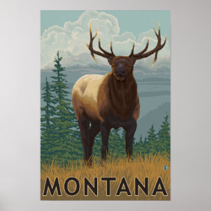 MontanaElk Szene Poster