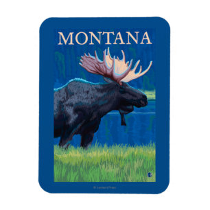 MontanaMoose Vintages Reise-Plakat Magnet