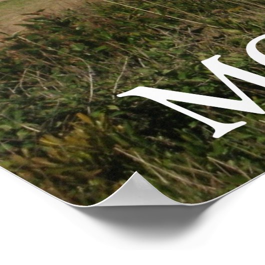 MONTAUK Lighthouse Seagull Liebe Poster (Ecke)