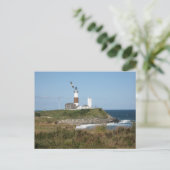 MONTAUK Lighthouse Seagull Liebe Postkarte (Stehend Vorderseite)