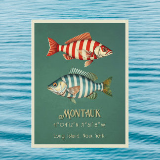 Montauk Long Island New York Fisch Postkarte