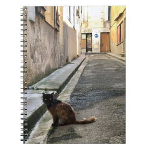 Montauk Salvage Co. / Die französische Katze Notizblock