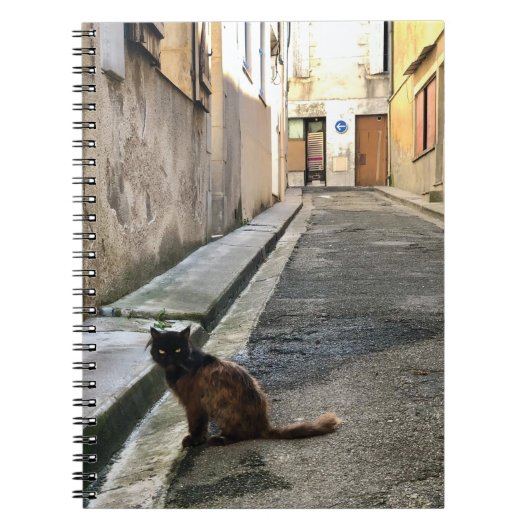 Montauk Salvage Co. / Die französische Katze Notizblock (Vorderseite)