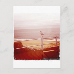 Montauk Seagull Liebe 3.0 Postkarte