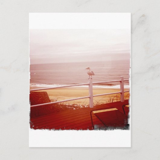 Montauk Seagull Liebe 3.0 Postkarte (Vorderseite)