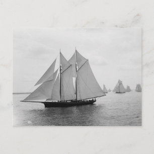 Montauk-Segelboote (19. Juni 1897) Postkarte