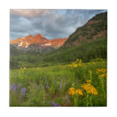 Monte Brè Fliese (Vorderseite)