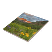 Monte Brè Fliese (Seite)