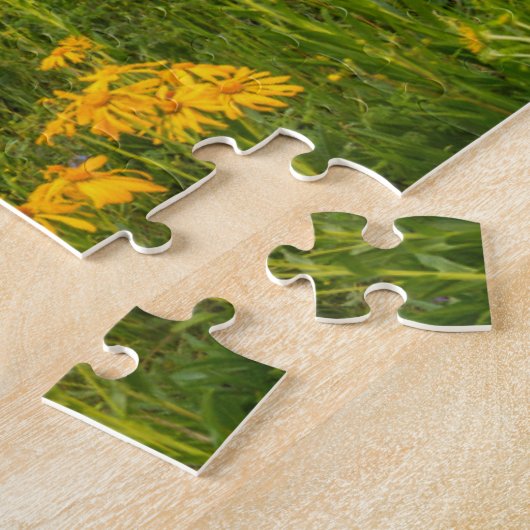 Monte Brè Puzzle (Seite)