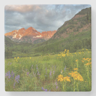 Monte Brè Steinuntersetzer