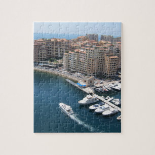 Monte Carlo Puzzle
