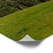 Monte Diablo Aussicht von den Hügeln in Alamo Ca. Poster (Ecke)